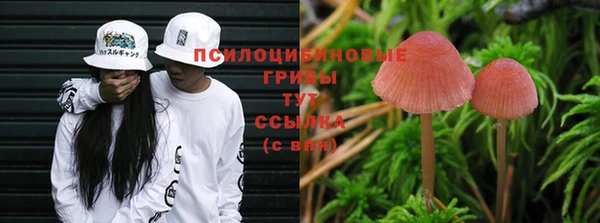 кокаин премиум Богданович