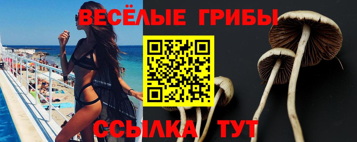 Псилоцибиновые грибы ЛСД  Бузулук 